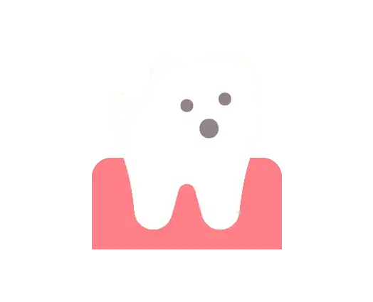 Your Teeth